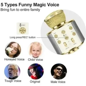 Wireless Karaoke Bluetooth Microphone